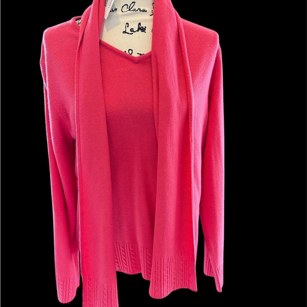 Pink Jennifer Moore Sweater and Scarf NWT L